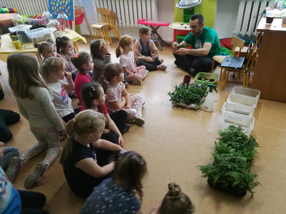 Leśniczy pokazuje drzewko